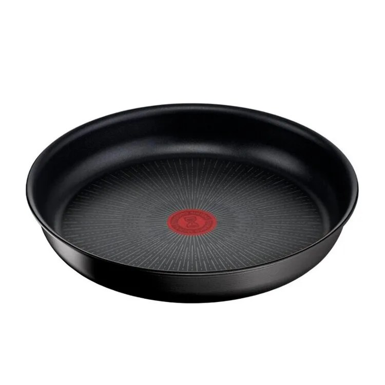FRIGIDEIRA TEFAL INGENIO UNLIMITED 24