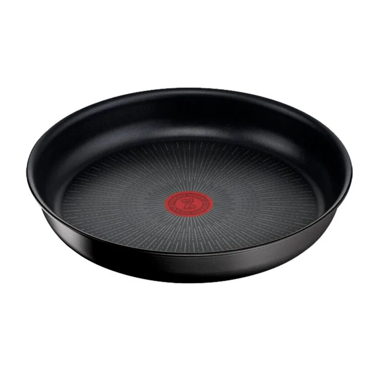 FRIGIDEIRA TEFAL INGENIO UNLIMITED 26