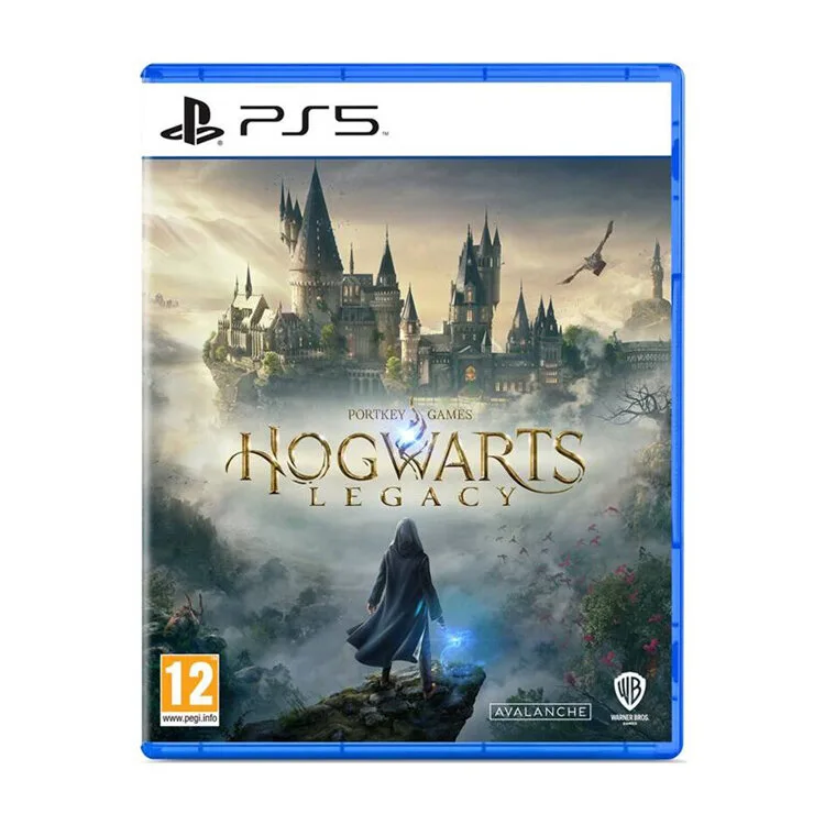JOGO PS5 HOGWARTS LEGACY